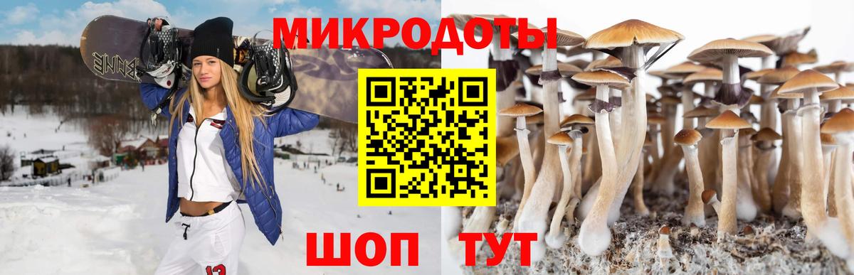 Галлюциногенные грибы GOLDEN TEACHER  Вход с VPN  Волжск 